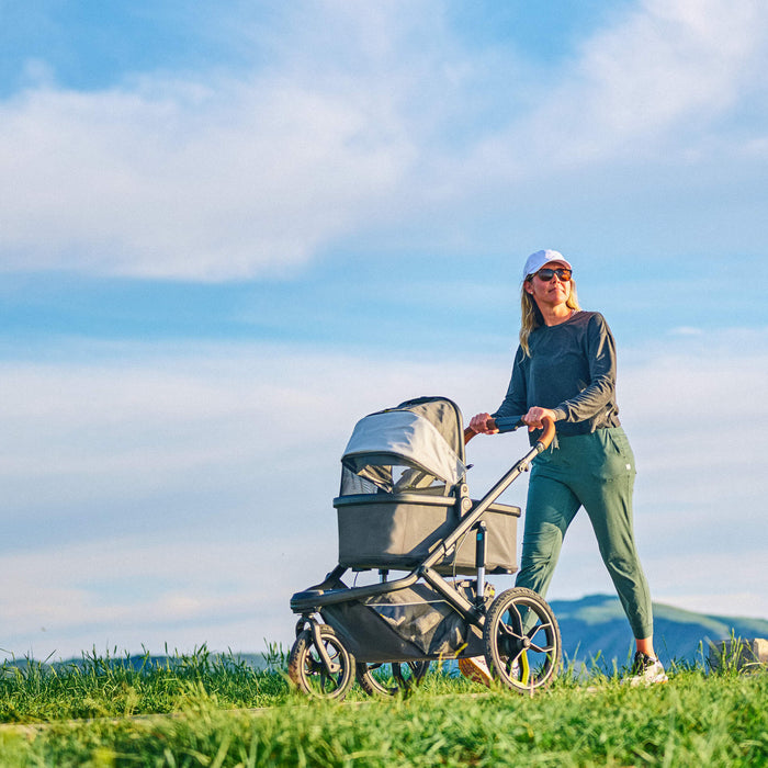 Veer Switchback Bassinet