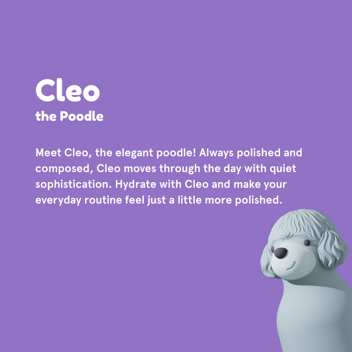 Bestie Poodle Bottle
