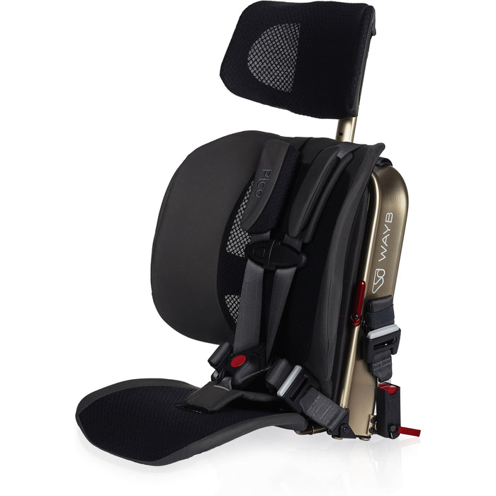 WAYB Pico Car Seat