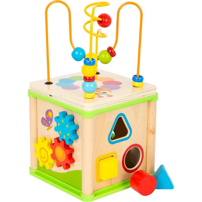 Small Foot Insect Motor Skills Training Cube