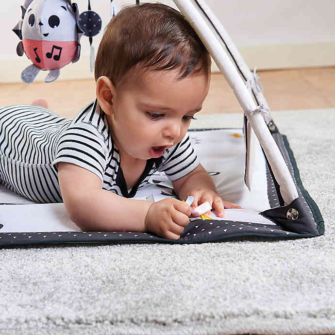The Best Baby Playmat  Tiny Love Gymini Sunny Day Activity Gym