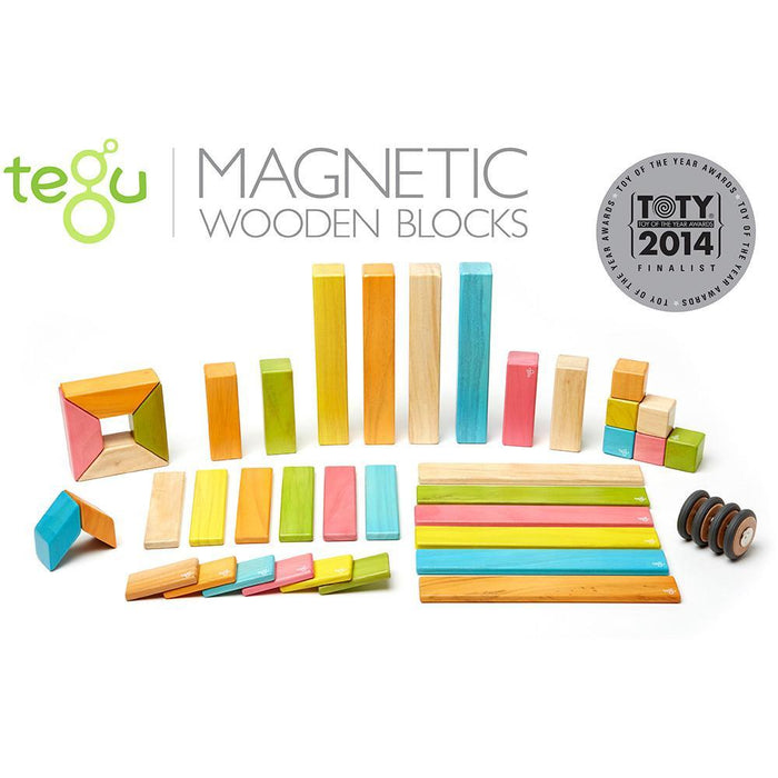 Tegu 42-Piece Magnetic Block Set - Tints