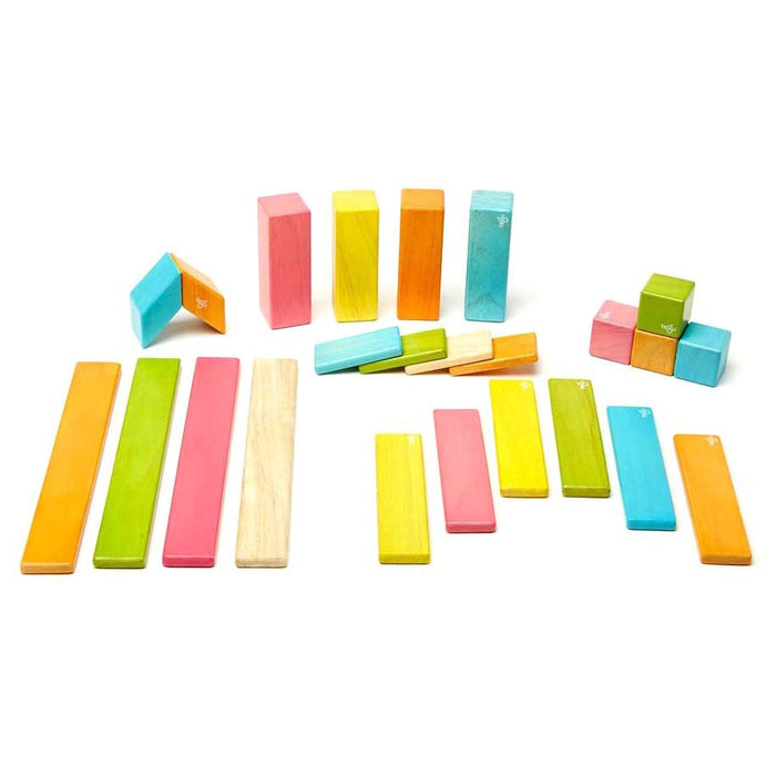 Tegu 24-Piece Magnetic Block Set - Tints